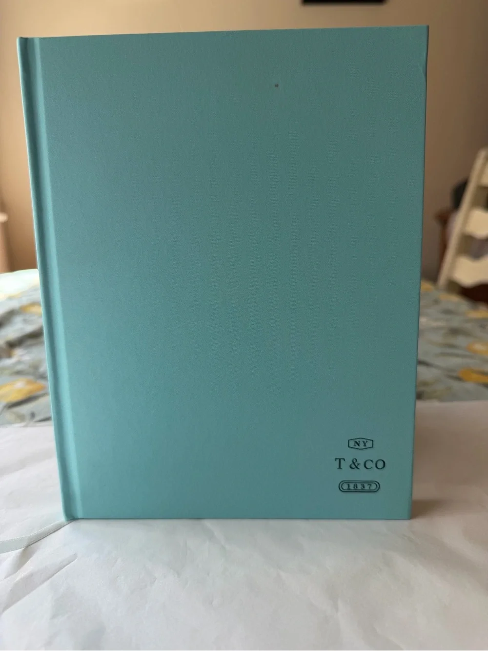 🩵📒🩵 TIFFANY & CO. NOTEBOOK 🩵📒🩵 NWOT 🩵📒🩵